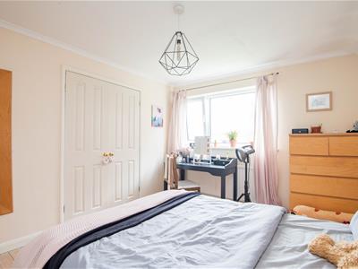 Picture 16